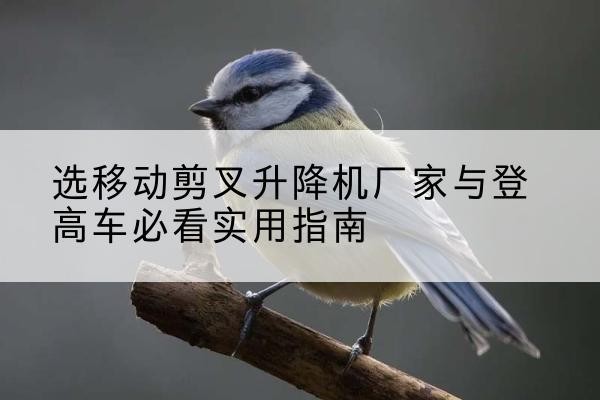 临泽电动升降机厂家-选移动剪叉升降机厂家与登高车必看实用指南