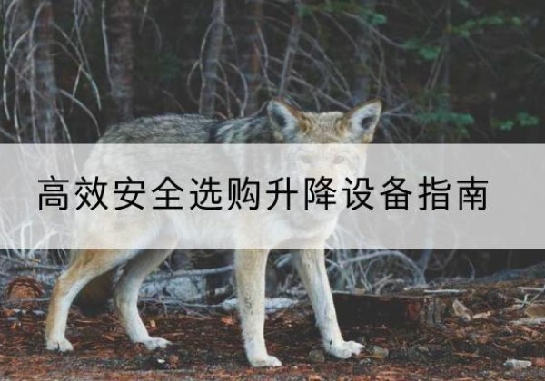 临泽升降货梯厂家推荐-*安全选购升降设备指南