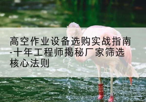 临泽剪叉式升降机厂家-高空作业设备选购实战指南-十年工程师揭秘厂家筛选核心法则